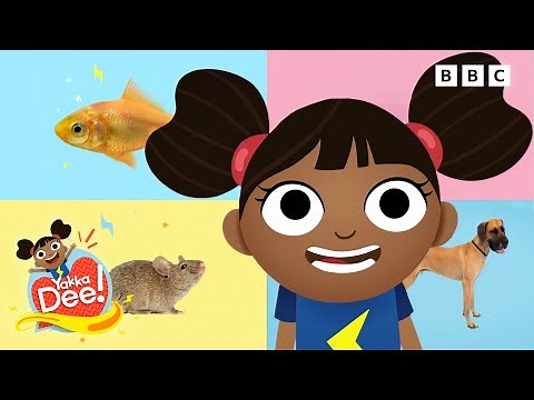 Let's Yakka Yak About Animals! | Yakka Dee!