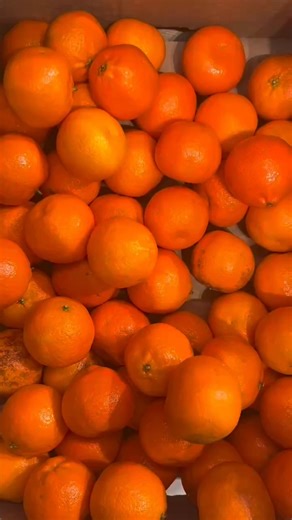 7 comments | Make the most of December's seasonal produce, we've got an abundance of delicious fruit and vegetables that would work perfectly for adding extra flavour and nutrients to your soups, stews and festive roasts. #seasonalfruit #seasonalveg #nutritiontips #chequp | CheqUp Health | Facebook