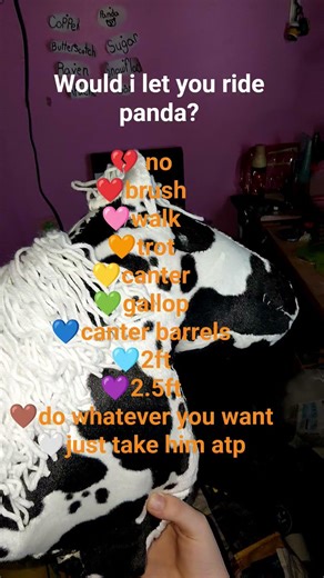 would I let you ride panda?🐼 #hobbyhorse