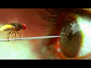 VJ JUNIOR LATEST TRANSLATED MOVIE 2023 IN LUGANDA.