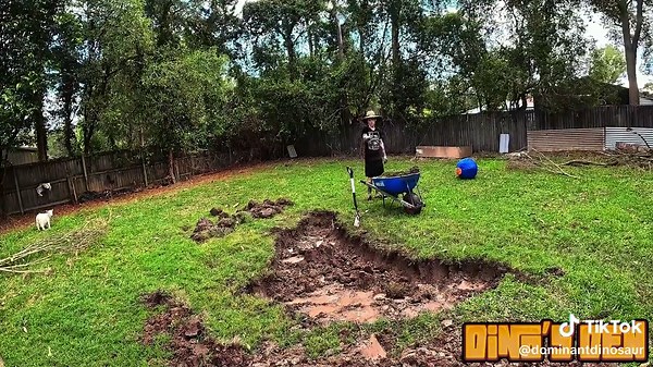 Figured I’d dig a pond since I need the dirt to re level a bunch of the other yards 😂 will probably run plumbing under and add another section. #dinosden #aussie #update #backyard #hobbyfarm #minituregoat #pond #diy #diyproject #igotadhd #adhd #australian #fyp #digging #ishouldbeworkingonotherprojects