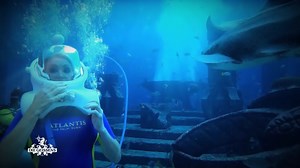 121K views · 1.3K reactions | Carmen im Haibecken... 麗 Für Robert eine Traumvorstellungen! 浪 Und morgen wird sie wahr. Schaltet zu einer actiongeladenen Doppelfolge "Die Geissens - Eine schrecklich glamouröse Familie" ein - morgen Abend, um 20:15 Uhr bei RTLZWEI  | Die Geissens - Eine schrecklich glamouröse Familie | Facebook