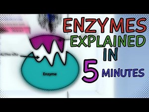 ENZYMES | ENZYME FUNCTION EXPLAINED IN 5 MINUTES | HOW DO ENZYMES WORK? SUPER FAST!