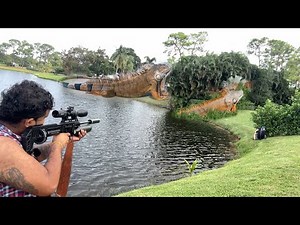Crashing the Party! Pool Pooper iguanas Move in Million Dollar Homes! Hired to Remove Them!