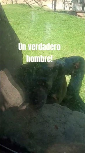 Sé un verdadero hombre y suscribete a nuestro canal ☺️☺️✌️