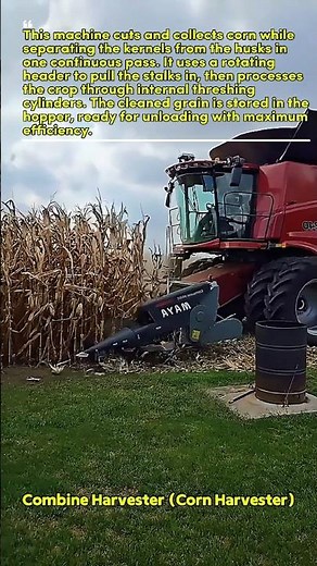 Corn Harvesting Machine in Action #farming #cornharvest #agriculture