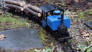 Garden railway hobbyist enjoys the small details