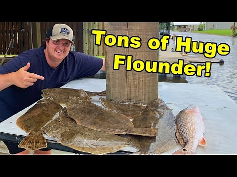 Catching BIG Flounder! Fishing Big Lake Louisiana