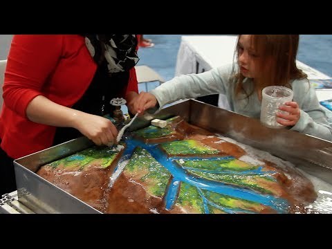 Restoring the Mississippi River Delta - USA Science and Engineering Fest