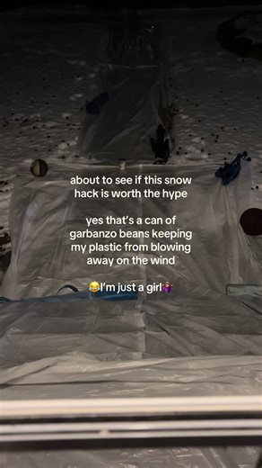 Testing the Viral Snow Hack for Driveway Preservation