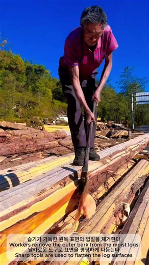 Manual Wood Debarking and Squaring Process 🪵 | 전통 방식의 원목 탈피 및 각재 가공 기술