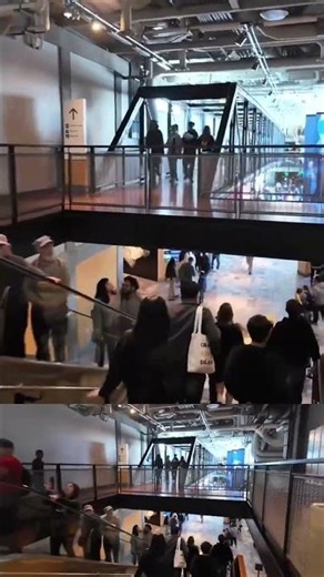 MONTEREY | AQUARIUM BAY