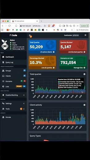 Pi-hole on Raspberry Pi Zero W PiHole #RaspberryPi #AdBlocker