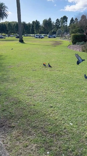 Shaza’s personal trainer | Mr Sam Cotton