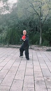 9.6K views · 1.3K reactions | The spear (枪, qiāng), known as the King...