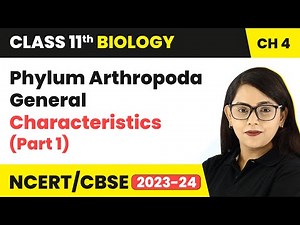 Phylum Arthropoda General Characteristics (Part 1) | Class 11 Biology Chapter 4 | NCERT/CBSE