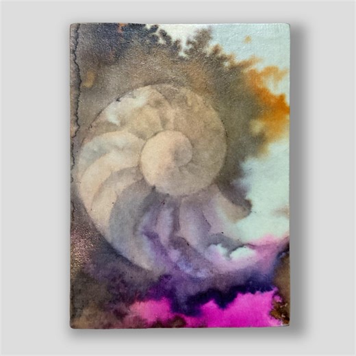 Nautilus Shell Art, Original Mixed Media Abstract Painting, Wood Mounted, Aceo, Affordable Art for Gift - Nautilus Shell 2016 - Etsy