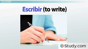 Spanish Grammar: Practice Conjugating Novel -IR Verbs - Video | Study.com