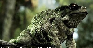 Mesmerising CryEngine 3 Tech demo revealed