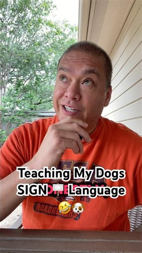 Dogs vs Sign Language: Who Won? 😂 #FunnyDogs #DogFails #Shorts