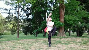 10 cours de tai-chi en ligne