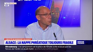 💬 "C'est assez contrasté" Philippe Schott, directeur de l'association pour la protection de la nappe phréatique de la plaine d'Alsace, s'exprime sur le niveau des nappes après les pluies de cet été | BFM Alsace