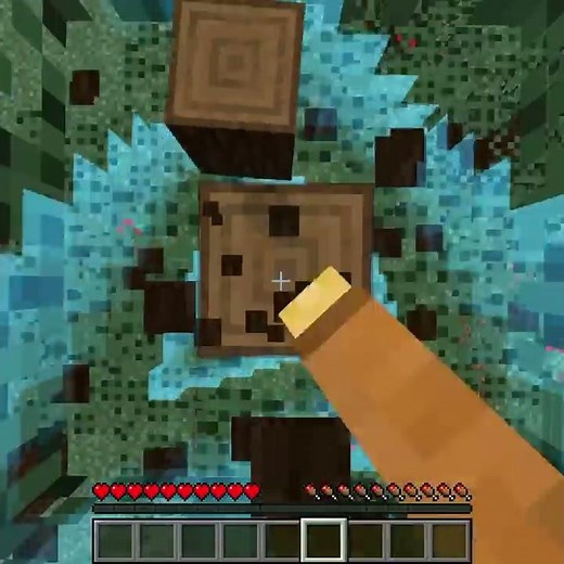 Playing 1 by 1 Minecraft