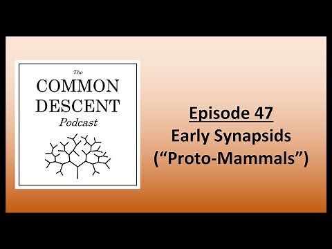 Episode 47 - Early Synapsids ("Proto-Mammals")