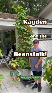 How tall can runner beans grow? Extremely tall! Especially if you’re using top quality worm castings.🌱 Kayden’s been overtaken by these giants this year, we had to call him round to see for himself. Nature does the hard work, we just give it a helping hand. Think your veg could do with a growth spurt? Drop a “🪱” in the comments and we’ll send you the link to get your own castings. #worms #castings #runnerbeans #plantgrowth #giant | The Worm Man