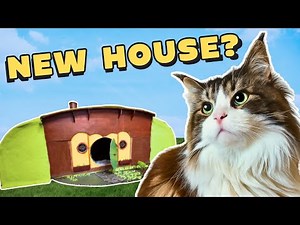 I Built A Cat Hobbit House For My Cats!