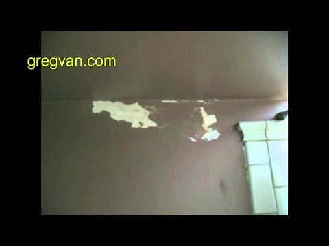 Bathroom Wall Moisture Damage - Fix This Immediately