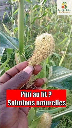 Bedwetting in children: effective natural solutions in 7 days