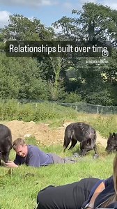 3.3K views · 120 reactions | Last year, we introduced WOLFWISE as a...