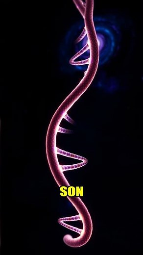 ADN: El Código de la Vida 🧬