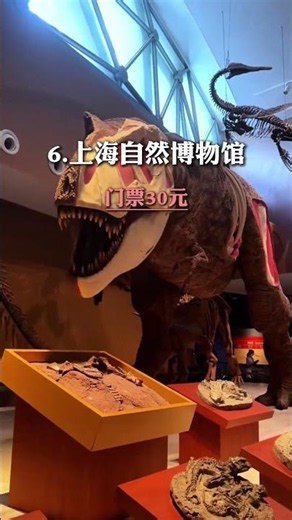The 14 Best Places to Visit in Shanghai! Which One Do You Want to Go to Most?
