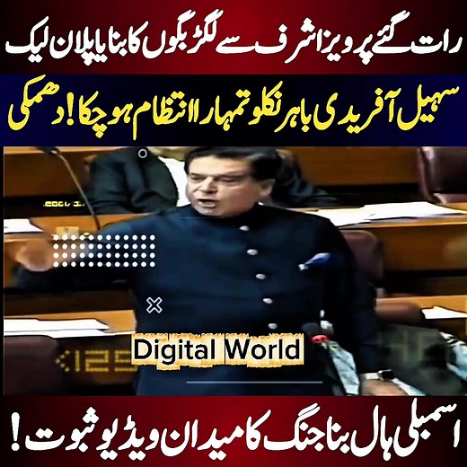 Digital World on Reels