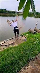 The Only Way to Catch the Amazon’s Apex Nocturnal Predator #animals #fish #giantfishschool #amazo...