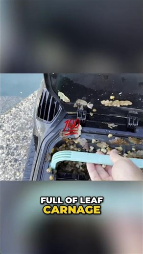 Pool Cleaning Bliss: Meet the X1 Pro Max #shorts