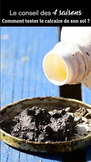 Votre terre de jardin contient-elle du calcaire total ? Le conseil des 4 saisons