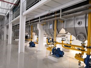 [Hot Item] 100tpd Soybean Oil Solvent Extraction Plant