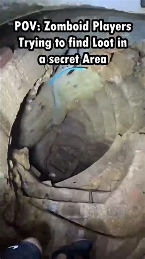 Zomboid Looting #projectzomboid #memes #funny #gaming