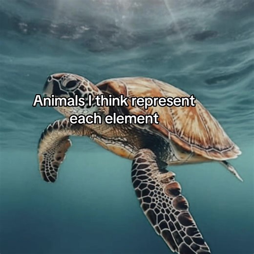 Animals That Represent the Four Elements