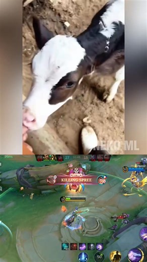 P4ldo yung baka🤣 #mlbbcreator #MLBBALLSTAR | Neko ML