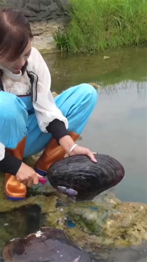 Exploring the Fascinating World of Pearls