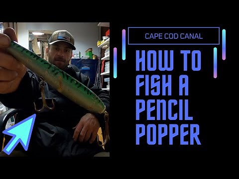 Cape Cod Canal: How to fish a PENCIL POPPER!!! Catching schoolie STRIPED BASS!!!
