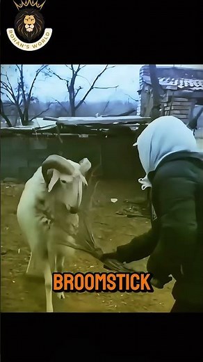 I SURVIVED an Angry Ram Attack and Learned This Crazy Trick!