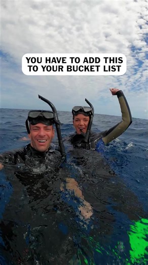 Top Destinations for Swimming with Humpback Whales