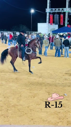#caballosbailadores🍀🐴🍎#foryou#R-15#panchobarraza