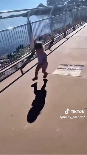 Baby Discovers Shadow and Gets Scared