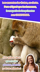 2.4K views · 86 reactions | ¿Conocías estos datos sobre los primates? | Revista National Geographic en español | Facebook